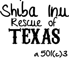 Shiba Inu Rescue Of Texas